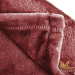 Harry Potter Plush Fleece Throw Blanket - Red