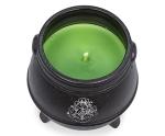 Harry Potter Dark Arts Scented Soy Candle