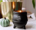 Harry Potter Dark Arts Scented Soy Candle