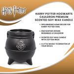 Harry Potter Dark Arts Scented Soy Candle