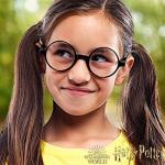 Harry Potter Wizard Glasses - Sun-Staches Accessory