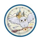 Harry Potter Birthday Party Supplies Bundle for Kids