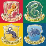 Harry Potter Birthday Party Supplies Bundle for Kids
