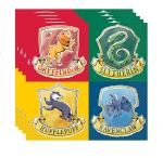 Harry Potter Birthday Party Supplies Bundle for 24