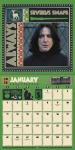 2026 Harry Potter Mini Calendar for Fans