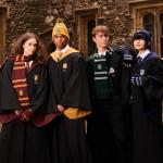 Gryffindor Knitted Fingerless Gloves with Mitten Cover