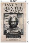 Harry Potter Sirius Black Wanted Poster Bundle