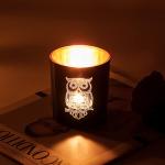 Harry Potter Owl Candle Holders - Vintage Glass