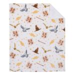 Harry Potter Gold and Tan Cozy Sherpa Blanket