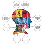 Harry Potter Family Bingo Game - Fun for All