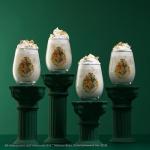 Harry Potter Hogwarts Stemless Drinking Glasses Set