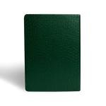 Slytherin Deluxe Journal from Harry Potter