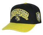 Hufflepuff Embroidered House Crest Snapback Hat