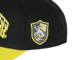 Hufflepuff Embroidered House Crest Snapback Hat