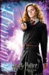 Harry Potter Half-Blood Prince Hermione Wall Poster