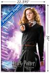 Harry Potter Half-Blood Prince Hermione Wall Poster