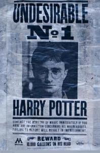 Harry Potter Undesirable Wall Poster, 22.375" x 34