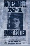 Harry Potter Undesirable Wall Poster, 22.375" x 34