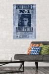 Harry Potter Undesirable Wall Poster, 22.375" x 34