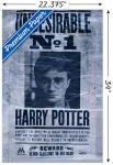 Harry Potter Undesirable Wall Poster, 22.375" x 34