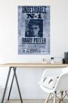 Harry Potter Undesirable Wall Poster, 22.375" x 34