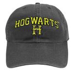Harry Potter Hogwarts Arch Dad Hat - Charcoal