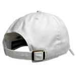 Harry Potter Hogwarts Scenic Patch Dad Hat