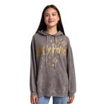 Harry Potter Stars & Crest Gray Hooded Sweatshirt