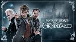 Fantastic Beasts: Grindelwald's Secrets Unleashed
