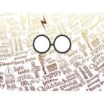 Harry Potter Insulated Tumbler Cup - 24oz