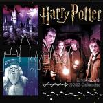Harry Potter 2023 Wall Calendar