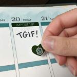 Slytherin Crest Planner and Sticker Set