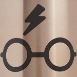 Harry Potter Stainless Steel Wine Tumbler