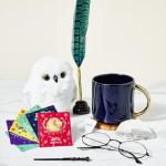 Harry Potter Tea Gift Set with Wand & 48 Bags