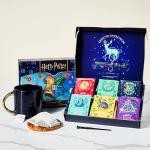 Harry Potter Tea Gift Set with Wand & 48 Bags