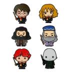 Harry Potter Mystery Enamel Pin Blind Box Collection
