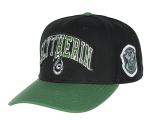 Slytherin Embroidered House Crest Snapback Hat