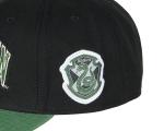 Slytherin Embroidered House Crest Snapback Hat