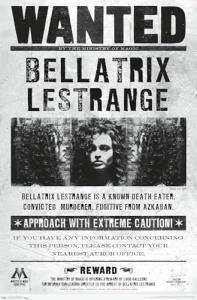 Harry Potter Bellatrix Wanted Poster Wall Art