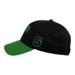 Slytherin Tail Adjustable Snapback Hat