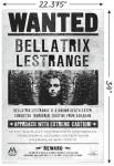 Harry Potter Bellatrix Wanted Poster Wall Art