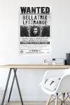 Harry Potter Bellatrix Wanted Poster Wall Art