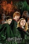 Harry Potter Trio Wall Poster 22" x 34