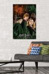 Harry Potter Trio Wall Poster 22" x 34