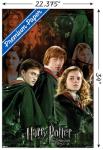 Harry Potter Trio Wall Poster 22" x 34