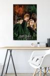 Harry Potter Trio Wall Poster 22" x 34
