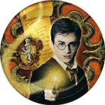 Harry Potter Order of the Phoenix Party Plates
