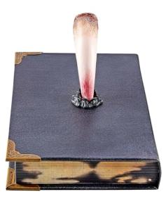 Harry Potter Tom Riddle's Diary Book Box