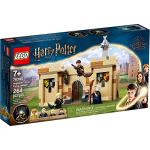 LEGO Harry Potter First Flying Lesson Set