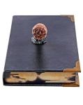 Harry Potter Tom Riddle's Diary Book Box